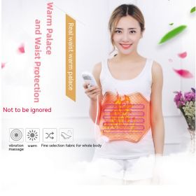 Electric Heating Waist Supporter Thermal Electric Heating Argy Wormwood Hot Compress Men And Women Massager (Option: Golden Waist Support-USB)